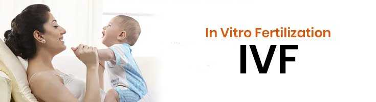 Mother holding her baby beside the words In Vitro Fertilization and IVF